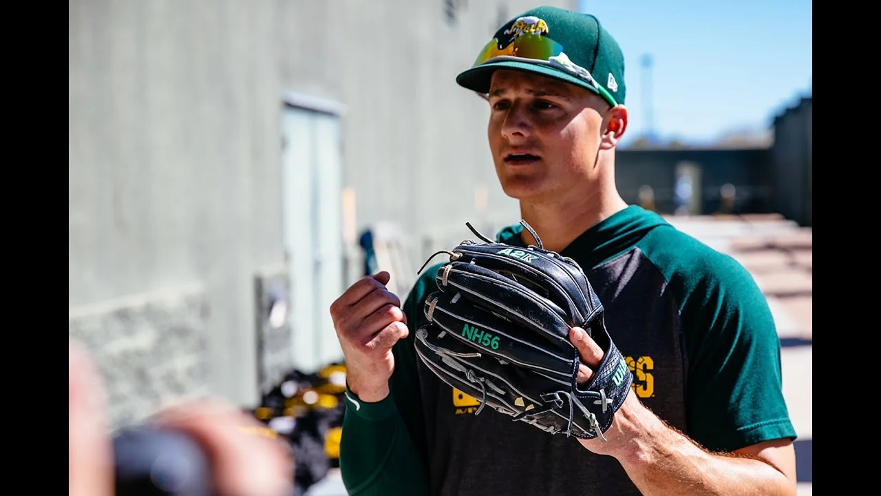 Wilson Shop -Wilson Shop 8888