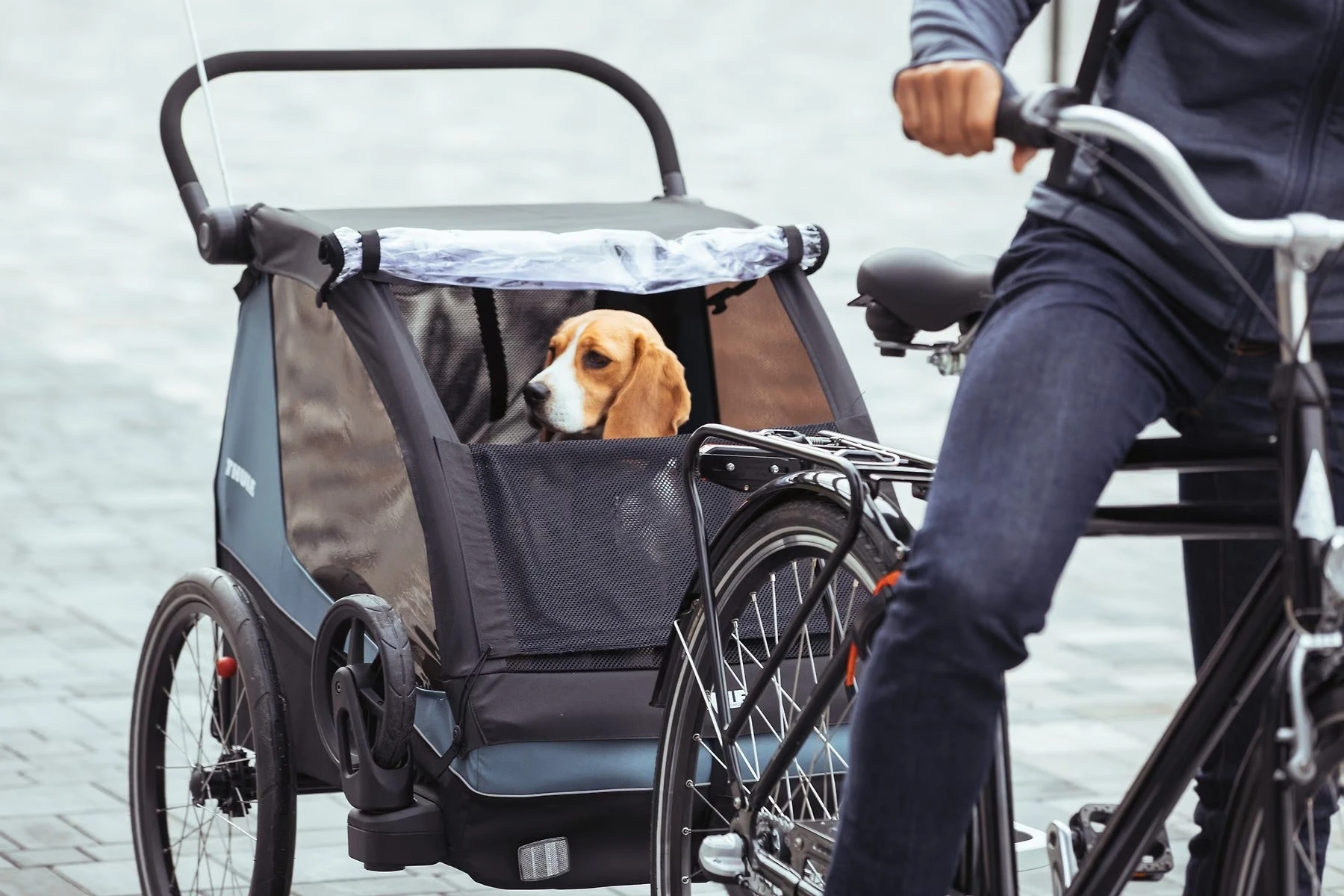 Thule Courier 2-Seat Bike Trailer 6 Thule Courier 2-Seat Bike Trailer - Image 4